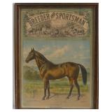 1889 Horse litho - Breeder & sportsman magazine