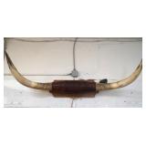 Texas longhorns - mounted w leather & rope