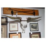 Longhorn Bull Skull - 24" x 61" x 8"