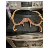 Extra Large Set Of Deer Antlers 8 Point