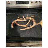 2 Sets Of Smaller Deer Antlers