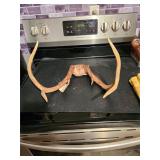 Deer Antlers Rack Six Point
