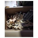 Case Of Horse Skeletons & More