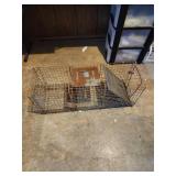 Large Animal Trap