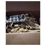 Mixed Case Of Skeletons.Spiders & More