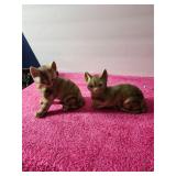 One Pair Of Cats No Visible Chips Or Cracks