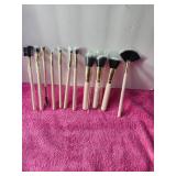 Real Perfection Brush Makeup Kit Never Used