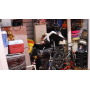 U-Haul Moving and Storage of Paterson, NJ