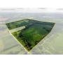 Lloyd Eades Estate -277 Acres in 5 Parcels, Major Farm and Land Absolute Auction - Shelby County, Ky.