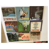 VINYL RECORDS SEE PIC