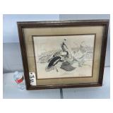 DUCK PRINT 26ï¿½X22ï¿½