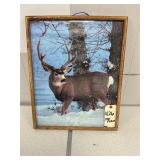 DEER PICTURE 17ï¿½ x 21ï¿½