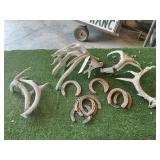 ANTLERS AND HORSE SHOES