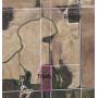 July 26th Three Ring Auction Featuring 11 Acres Of Forest