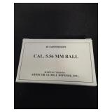 20 rounds of 5.56 Ammunition