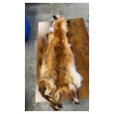 Fox Hyde