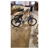 Blue Adult Tricycle