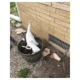 Ceramic Planter and Geese