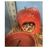 Okeetee corn snakes