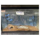 Black house snake w/10 gallon tank