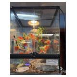 20 g tall reptile enclosure