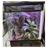 Anole colony and bioactive enclosure