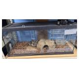 20 gallon g long tank