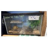Scaleless corn snake w/ 10 gallon tank