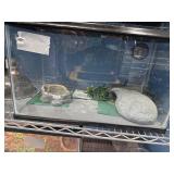 10g tank