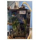 Enclosure used for small chameleons with