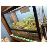 Cuband tree frog enclosure with mister and