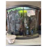 Betta tank