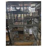 Several male Pet rats & critter nation cage
