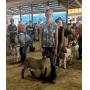 2026 Jay County 4-H Livestock Auction