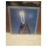 1978 Reo Speedwagon Vinyl LP Album you can tune a