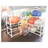 Lot of Balls,Mats, Step 360Pro