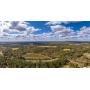 25± Acres | Schley Co., GA