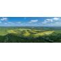 A Recreational Paradise Awaits | 241± Acres | Alapaha, GA