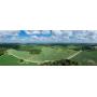 Farm It. Hunt It. Own It. | 186± Acres | 3 Tracts | Worth County, GA