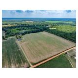 Country Living at Its Best | 4BR Home |  Pond |31± Acres | Worth County, GA