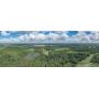 549± Acres of Southwest Georgia's Best | Farm, Timber & Trophy Hunting | Worth Co., GA