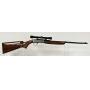 June Firearms and Ammunition Auction