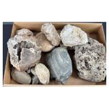 Fossilized Rocks & Mics Mineral Rocks