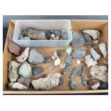 Fossilized Rocks & Assorted Stones