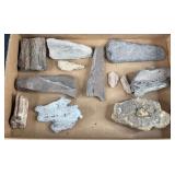 Fossil In Rock & Fossilized Wood Pieces