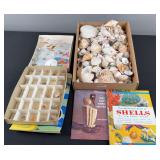 Seashell Books & Seashells