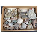 Fossil Rocks & Miscellaneous