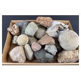 Fossilized Rocks & Misc