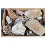 Fossils and Assorted Rocks