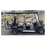 Electric Golf Cart SDLGC100